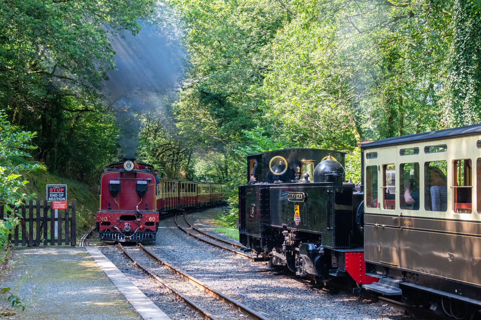 DSC_4687-scaled a steam engine train traveling down train tracks near a forest