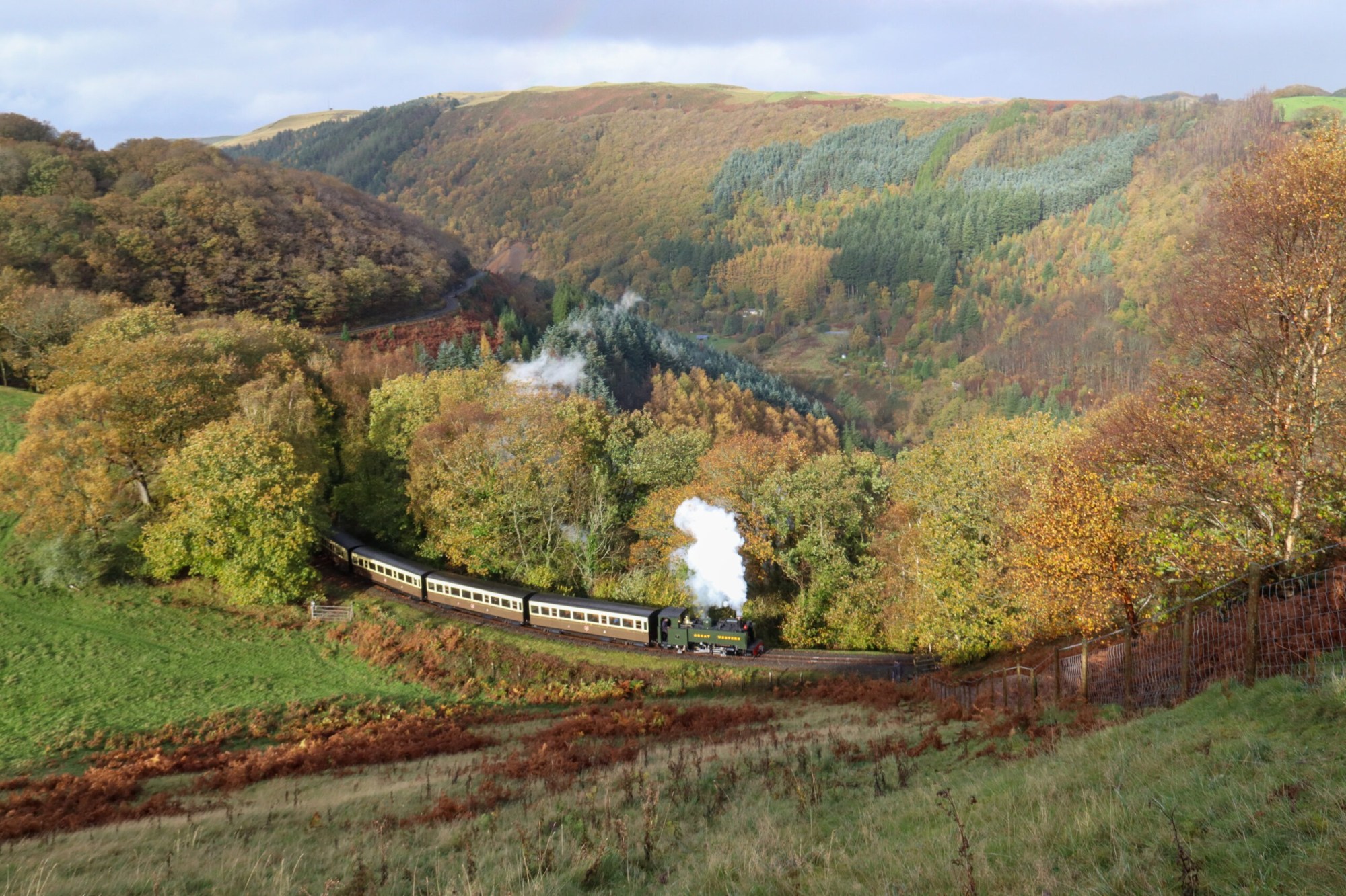 a train traveling through a lush green hillside