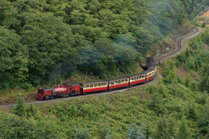 a train traveling down train tracks near a forest with Capilano Suspension Bridge in the background