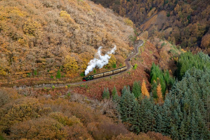 Steam train traveling through a colorful autumn forest on a winding track.