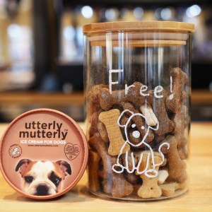 Jar of free dog treats and tub of dog ice cream on a wooden counter.