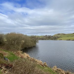 A serene lake with surrounding bare trees and grassy hills under a cloudy blue sky.