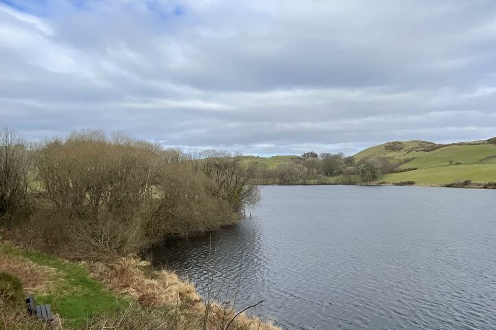A serene lake with surrounding bare trees and grassy hills under a cloudy blue sky.
